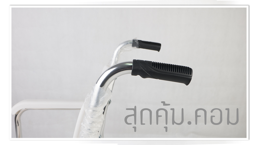 เก้าอี้นั่งถ่าย