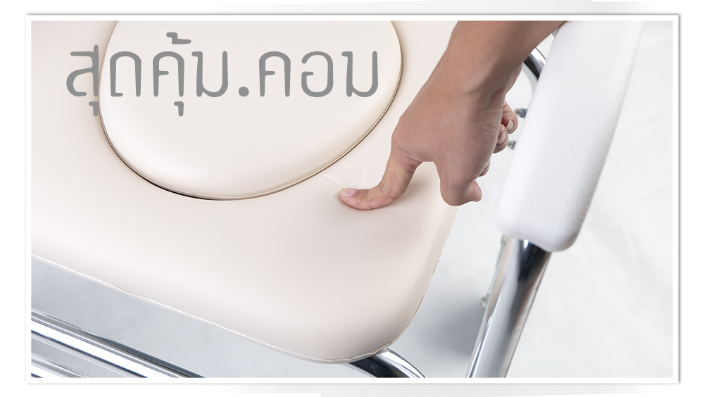 เก้าอี้นั่งถ่าย