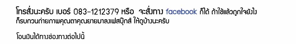 Wheelchair Patients รถเข็นผู้ป่วยและคนชรา 