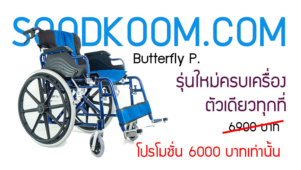 รถเข็นอลูมีเนียม เปิดข้างได้ เบาะถอดซัก ผ้าตาข่าย